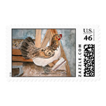 chicken postage stamps art farm animals pets by dereklovessheila chicken postage stamps art farm animals pets