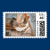 chicken postage stamps art farm animals pets