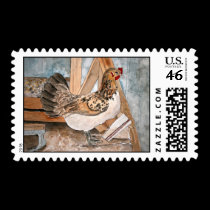 chicken postage stamps art farm animals pets