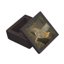Chicken Premium Gift Boxes