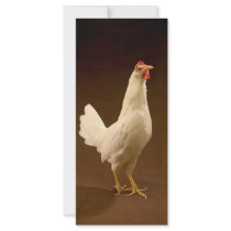 Chicken rack cards