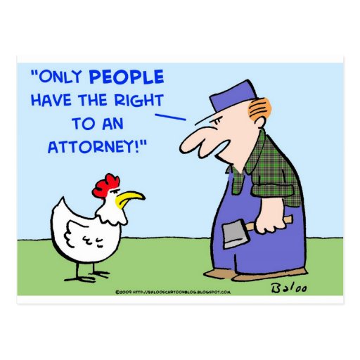 CHICKEN RIGHT ATTORNEY POSTCARD Zazzle