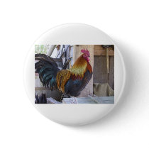 CHICKEN/rooster Buttons