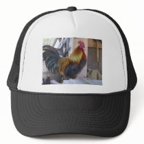 CHICKEN/rooster Trucker Hat