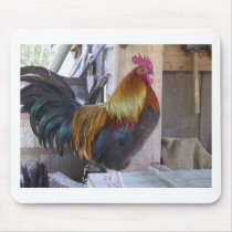 CHICKEN/rooster Mousepad