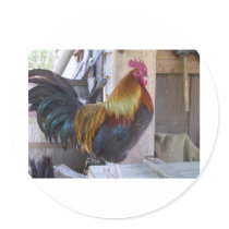CHICKEN/rooster Round Stickers