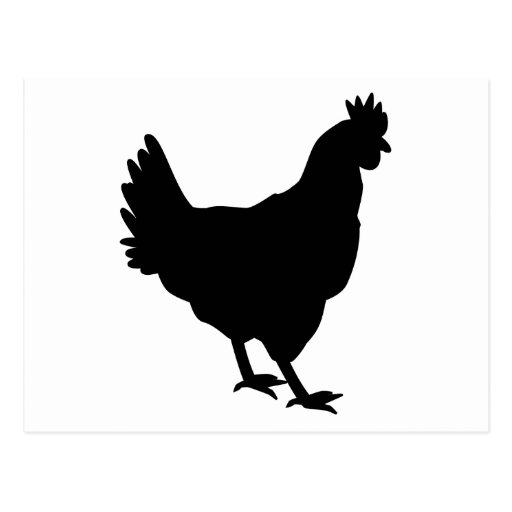 Chicken Silhouette Postcard | Zazzle