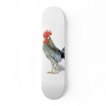 chicken skateboard decks