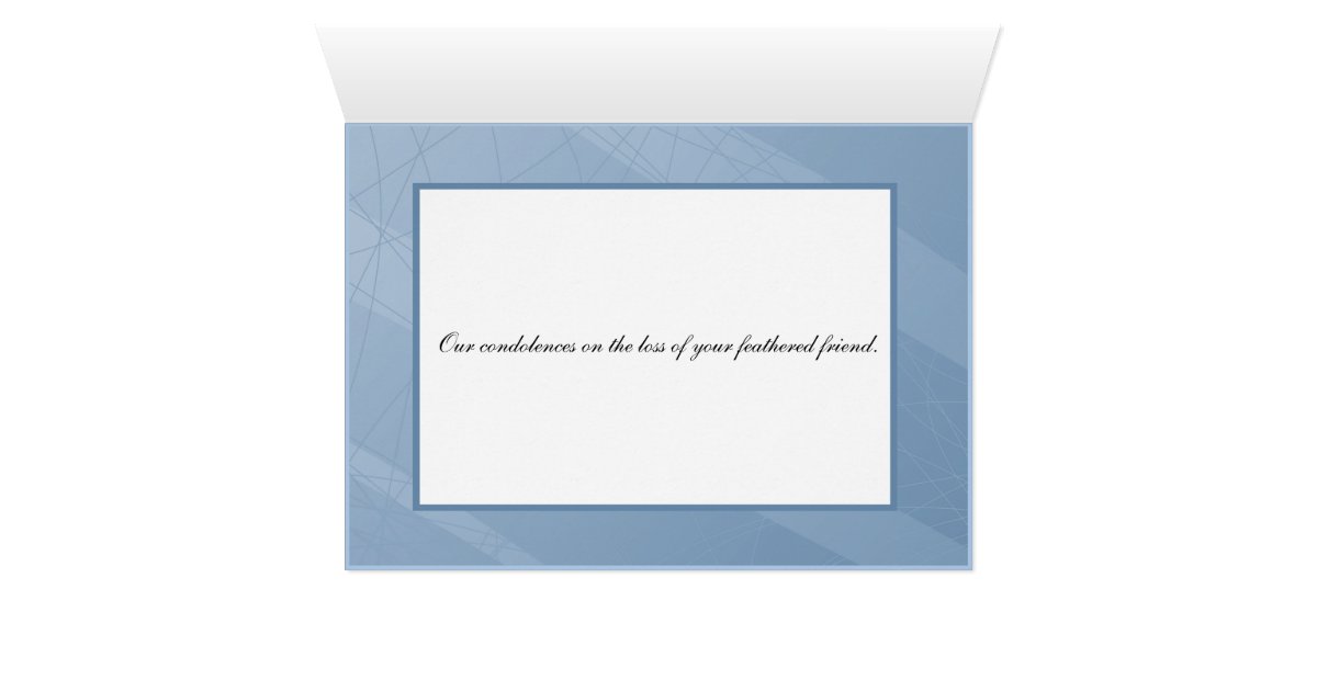 Chicken Sympathy Card Zazzle