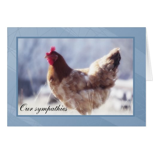 Chicken Sympathy Card Zazzle