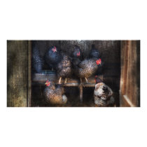 Chicken - The Hen House Customized Photo Card