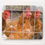 Chicken Wire Mousepads