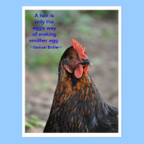 Chicken Wisdom - Egg postcards