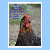 Chicken Wisdom - patience postcards