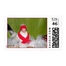 Chicken with scarf and hat postage stamp
