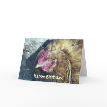 CHICKENS CARD
