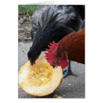 Chickens Eating Pumpkin Greeting Card