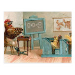 "Chickens in School" Vintage Postcards