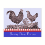 Chickens Invitation for Picnic, Farmer's Market, B postcards