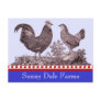 Chickens Invitation for Picnic, Farmer's Market, B