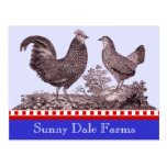 Chickens Invitation for Picnic, Farmers Market, B Post Card at Zazzle