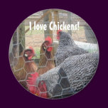 Chickens Magnet