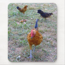 Chickens Mousepad