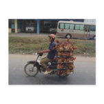Chickens on Motorbike-Vietnam