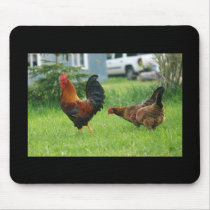 chickens, Photo by: TEYoung Mouse Mat