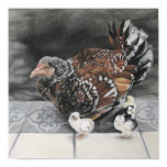 Chickens