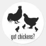 Chickens Sticker
