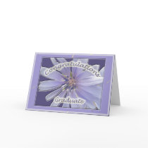 Chickory Congratulations Graduate Card