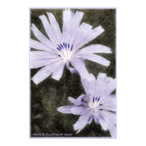 Chickory I posters by creativeworks Chickory I posters