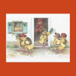 chicken, chick, rooster, bird, school, writing
