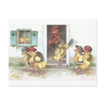 Chicks at School and Rooster Teacher Postcard