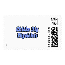 Chicks Dig Physicists Postage Stamps