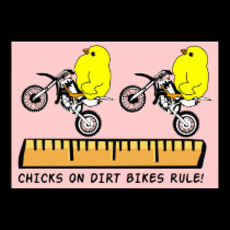 Chicks On Dirt Bikes Rule Motocross Poster Print posters