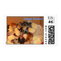 Chicks postage