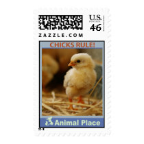 Chicks Rule Postage Stamps