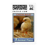 Chicks Rule Postage Stamps