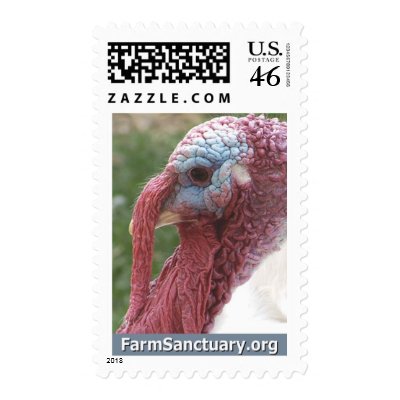 Chicky the Turkey Postage Stamp by FarmSanctuary