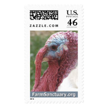 Chicky the Turkey Postage Stamp