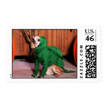 Chico - Chihuahua - Blumer Stamps