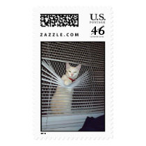 Chico postage by evera2000 Chico postage