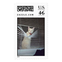 Chico Stamps