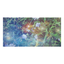 Chicory Grass Personalized Photo Card