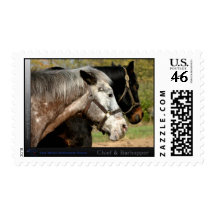 Chief and buddy Bars Postage