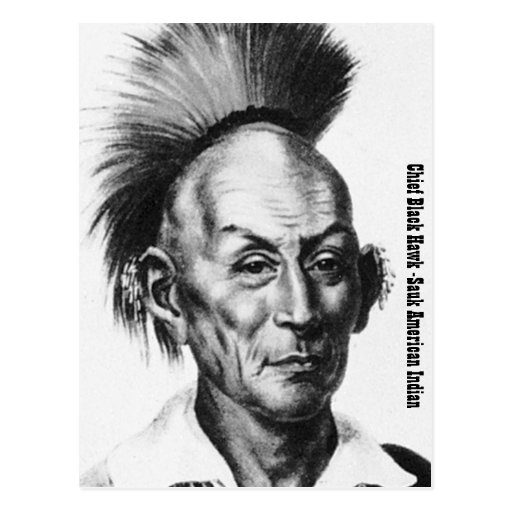 Chief Black Hawk Postcard Zazzle