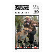 Chief, Go Jump A Dock! postage