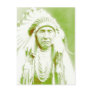 Chief Joseph Post Cards